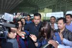 Preity Zinta snapped after arriving from USA at Mumbai International Airport on 22nd June 2014